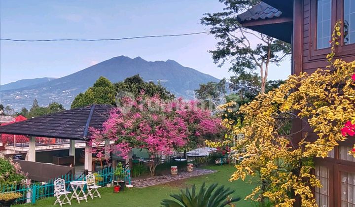 Beautiful Villa for Sale with Stunning View in Pancawati Caringin Bogor