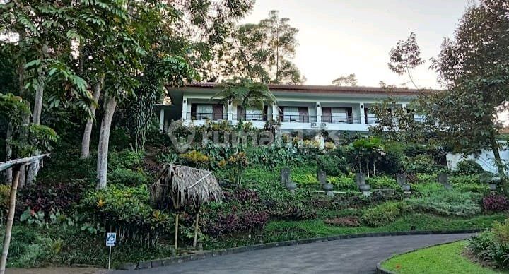 For Sale: Strategically Located Land with Building in Gunung Geulis, Gadog, Bogor.