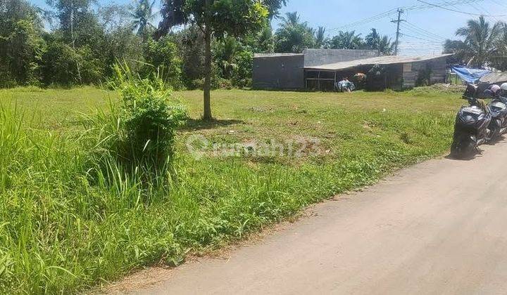 ruang keluarga jual tanah murah tanjung barangan