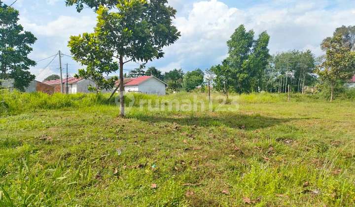 kolam renang jual tanah murah tanjung barangan