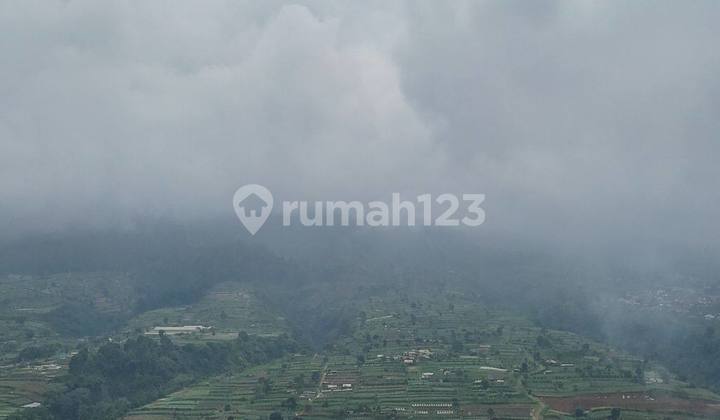 Mountain View Land, Cool Air and a Scenic Environment in Cipanas Mountain View Land, Cool Air and a Scenic Environment in Cipanas