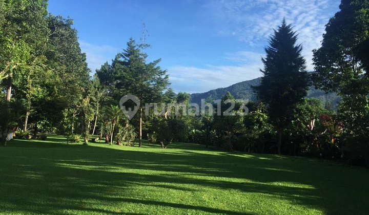 Mountain View Villa With Spacious Yard Located in Puncak, Bogor