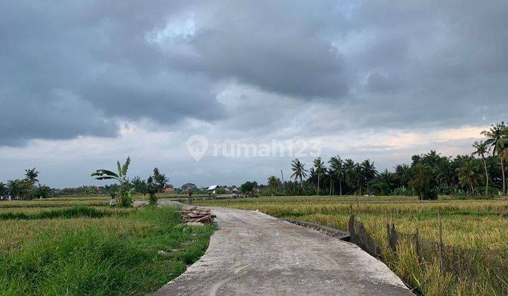 Tanah 15 Are di Ubud, View Sawah Alam, Cocok Untuk Villa, 7,875M 1