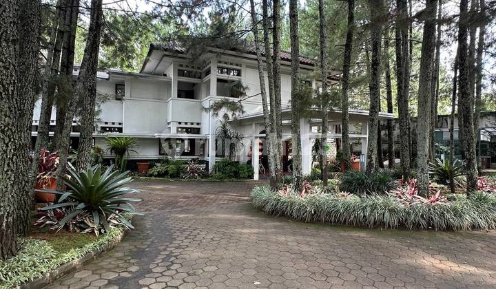 Hidden Gem Hotel Di Hutan Pinus, 5 Unit Bangunan, 60 M Nego! Hidden Gem Hotel Di Hutan Pinus, 5 Unit Bangunan, 60 M Nego!