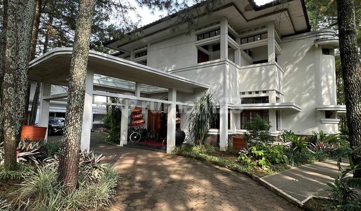 Hidden Gem Hotel in Pine Forest, 5 Building Units, 60 M Negotiable! 2