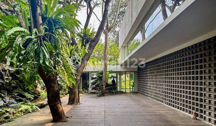 Rumah Siap Huni Karya Arsitek Ternama, Dalam Townhouse Rumah Siap Huni Karya Arsitek Ternama, Dalam Townhouse