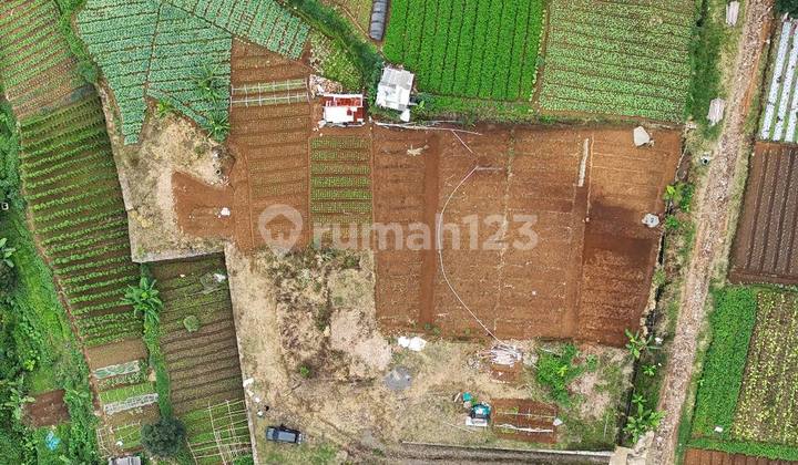 Mountain View Land, Cool Air and a Scenic Environment in Cipanas Mountain View Land, Cool Air and a Scenic Environment in Cipanas