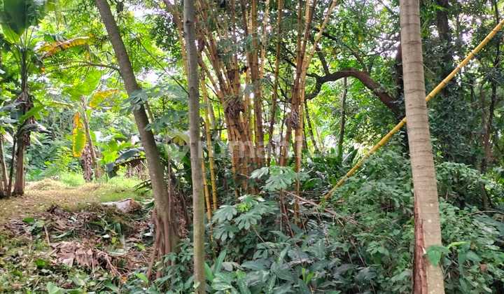 Commercial Land & Busy, Highly Strategic Location by the Main Road, Suitable for Business in Kencana Loka BSD, South Tangerang. Commercial Land & Busy, Highly Strategic Location by the Main Road, Suitable for Business in Kencana Loka BSD, South Tangerang.