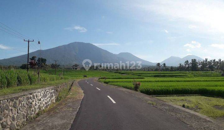 INVESTASI LAHAN TERBAIK HARGA TERBAIK DI KAWASAN EKOWISATA PENEBEL - TABANAN , BALI 1