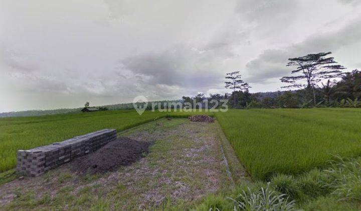 INVESTASI LAHAN TERBAIK HARGA TERBAIK DI KAWASAN EKOWISATA PENEBEL - TABANAN , BALI 2