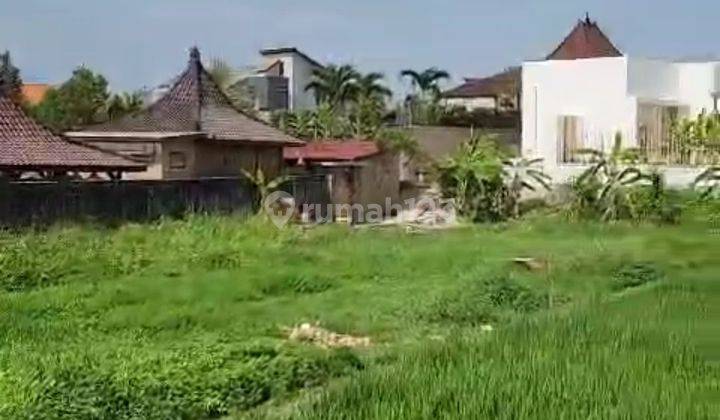 DIJUAL SEGERA LAHAN 16 ARE DAERAH DALUNG - KUTA UTARA 1