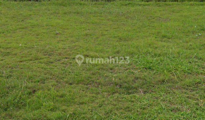 LAND FOR RENT 16 ARE SUPER CHEAP LAND LOT AREA - TABANAN 1