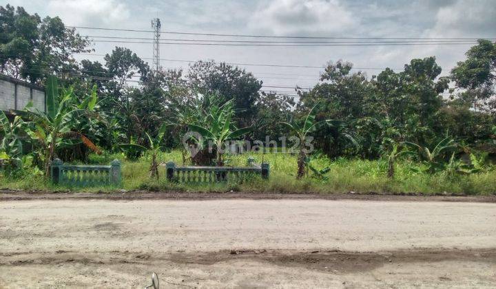 Tanah Pekarangan di Sragen Cocok Utk Usaha 2