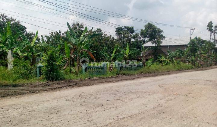 Tanah Pekarangan di Sragen Cocok Utk Usaha 1