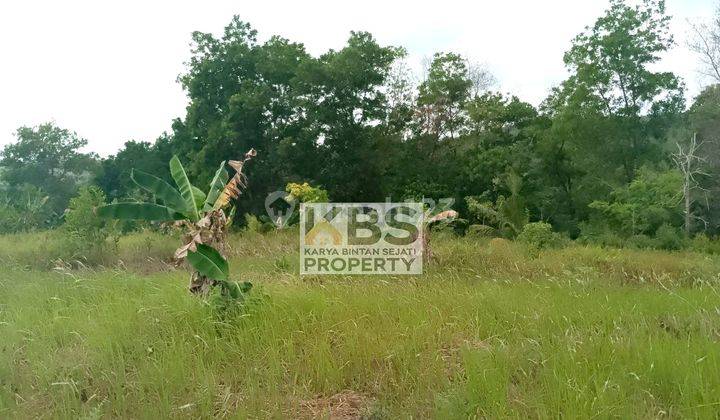 Dijual Tanah Lokasi Kp. Bugis, Toapaya Bintan 2