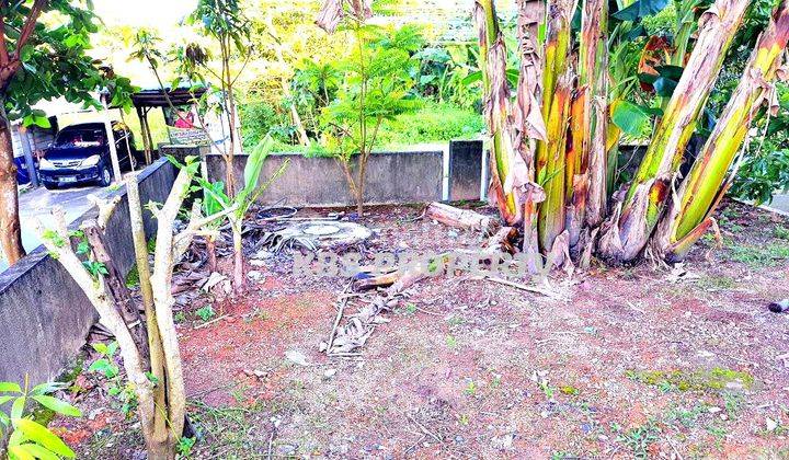 Dijual Rumah Type 59 224 Lokasi Hang Tuah Permai Tanjungpinang  2