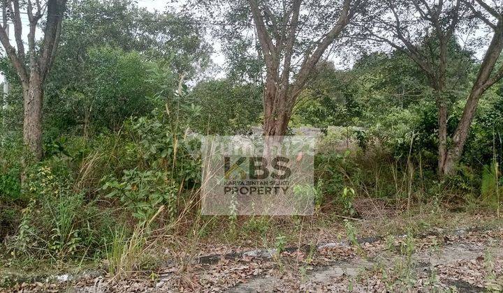 Dijual Tanah Jl. Pantai Trikora Bintan 1