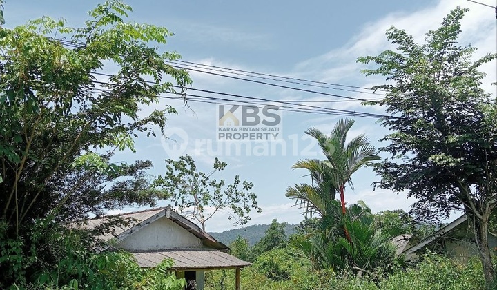 FOR SALE: SPACIOUS & STRATEGIC LAND - JL. MUSI, BINTAN FOR SALE: SPACIOUS & STRATEGIC LAND - JL. MUSI, BINTAN