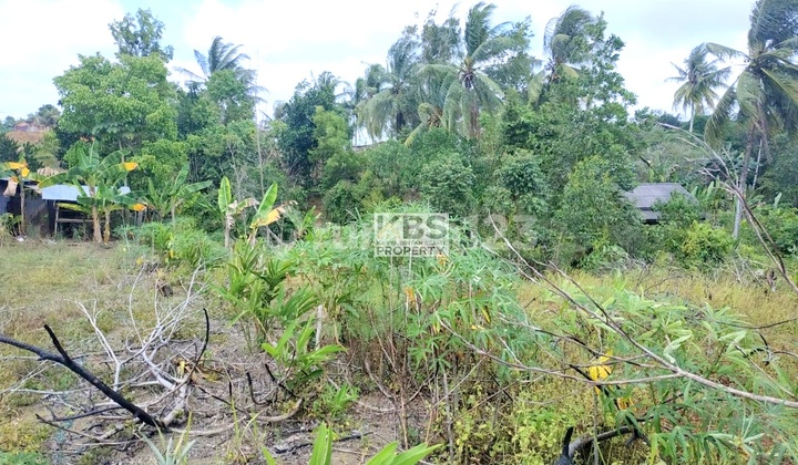 LAND FOR SALE 2,000 m² - SABANG STREET, KM 11 - TANJUNGPINANG