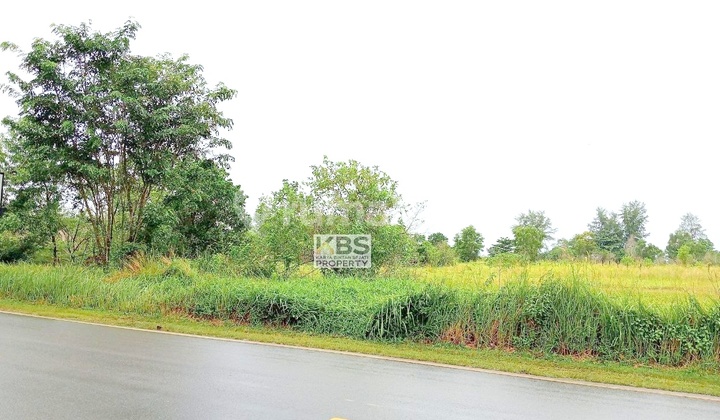 For Sale Beachfront Land on Jl. Wisata Bahari – Trikora, Bintan For Sale Beachfront Land on Jl. Wisata Bahari – Trikora, Bintan