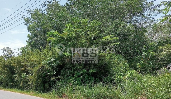FOR SALE: SPACIOUS & STRATEGIC LAND - JL. MUSI, BINTAN FOR SALE: SPACIOUS & STRATEGIC LAND - JL. MUSI, BINTAN