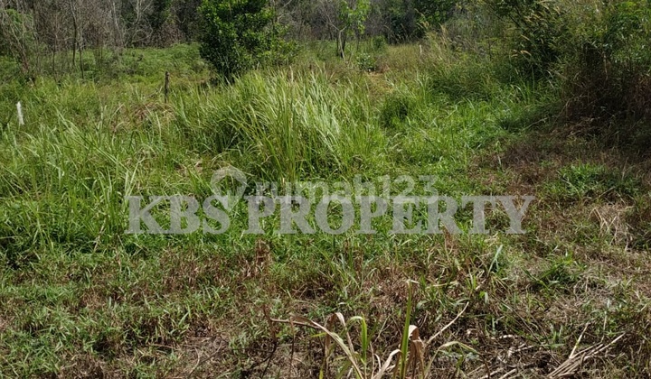 CHEAP LAND PLOTS – STRATEGIC LOCATION GANET - Angsana St. – Tanjungpinang
