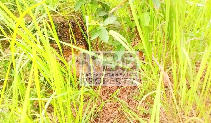 Cheap HOOK Land for Sale – Jl. Garuda, Tanjungpinang