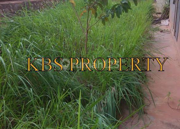 Dijual Ruko 2 Lantai – Lokasi Komersial di Jl. Raya Uban KM 12, Tanjungpinang! 2