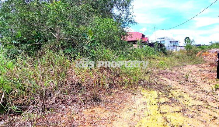 Dijual Tanah Kapling Lokasi Jl. R.H Fisabilillah, KM 8 Atas - Tanjungpinang 1