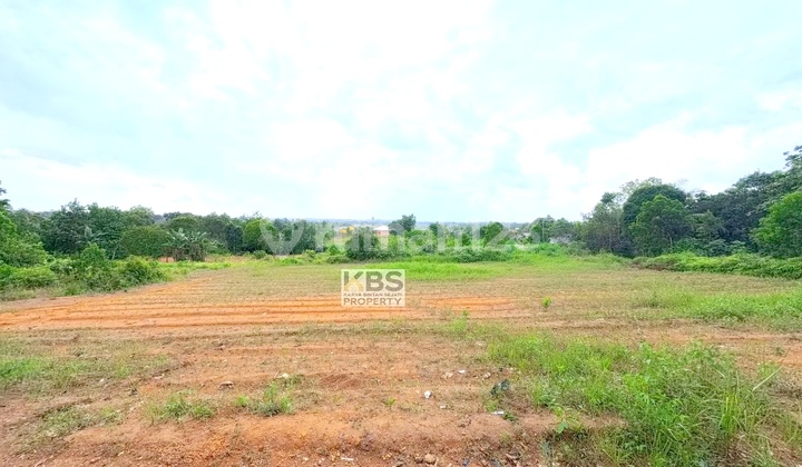 Dijual Tanah Luas & Potensial - Km 13 Tanjungpinang Dijual Tanah Luas & Potensial - Km 13 Tanjungpinang