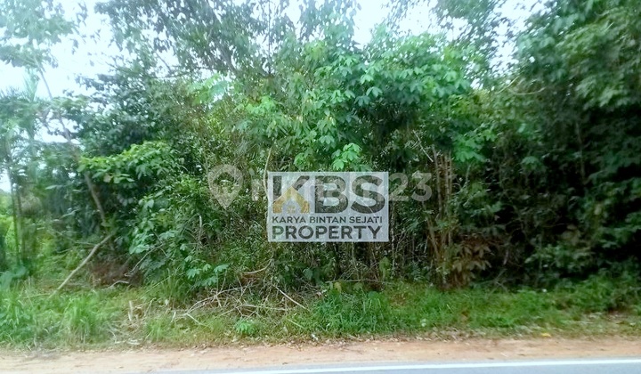 For Sale Strategic Land 37,840 M² - Jl. Kawal, Bintan