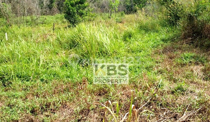 Dijual Tanah 180 M² - Jl. Angsana, Ganet, Tanjungpinang Dijual Tanah 180 M² - Jl. Angsana, Ganet, Tanjungpinang