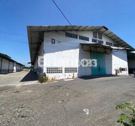 Good Warehouse Ready to Use Zero Waru Highway