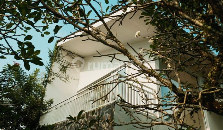 MODERN ETHNIC JAVANESE LUXURY HOUSE WITH SWIMMING POOL PALAGAN NEAR SCH 2