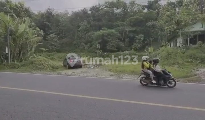 TANAH PEKARANGAN DAERAH WISATA JOGJA DEKAT HEHA SKY VIEW TANAH PEKARANGAN DAERAH WISATA JOGJA DEKAT HEHA SKY VIEW