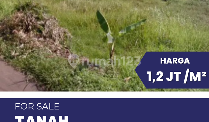 DIJUAL TANAH 1,2 HA SHM JL DAWUNG KEDUNGPANE GUNUNG PATI 1