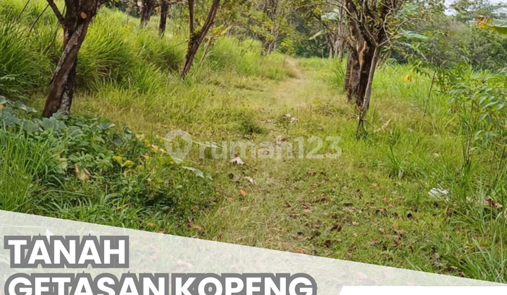 FOR SALE LAND WITH CERTIFICATE ON MAGELANG - SALATIGA GETASAN ROAD, SEMARANG REGENCY 1