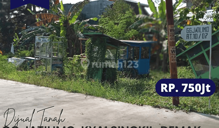 Dijual  Tanah di Gg. Jatilimo, Kyai Singkil, Demak, Bintoro 1