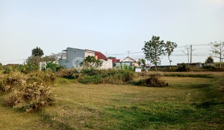 FOR SALE, LAND WITH CERTIFICATE, 2 PLOTS IN PELEM VILLAGE, BLORA