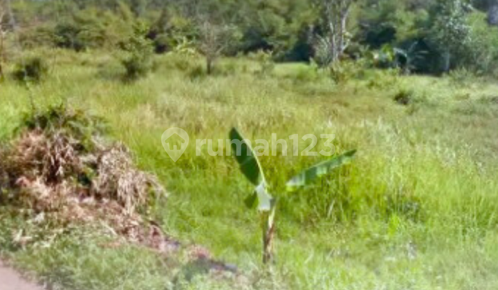 Dijual Tanah 1,2 Ha SHM Jl Dawung Kedungpane Gunung Pati 1