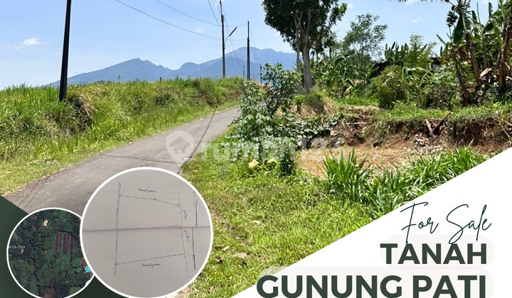 Dijual Tanah Luas 1 Ha Gunung Pati Semarang  1