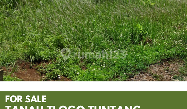 DIJUAL TANAH DENGAN PEMANDANGAN SHM TLOGO TUNTANG KAB SEMARANG 1