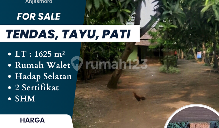 DIJUAL TANAH 2 KAVLING ADA RUMAH WALET  TENDAS TAY PATI