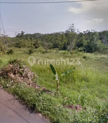 Dijual Tanah 1,2 Ha SHM Jl Dawung Kedungpane Gunung Pati 2