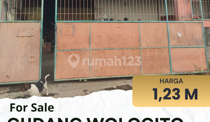 DIJUAL GUDANG 125 M LOKASI STRATEGIS WOLOGITO SEMARANG BARAT 1