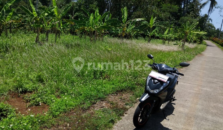 DIJUAL TANAH DENGAN PEMANDANGAN SHM TLOGO TUNTANG KAB SEMARANG 2