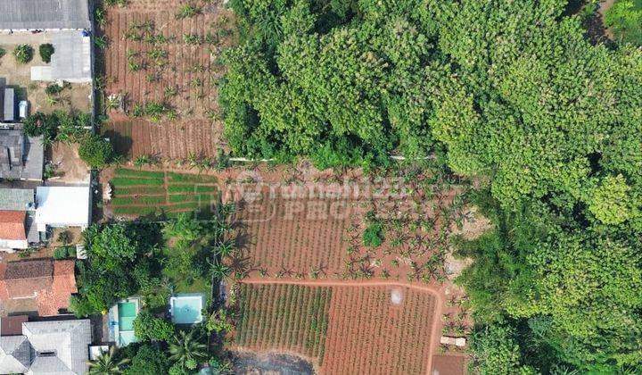  TANAH DI CISAUK COCOK UNTUK CLUSTER, SEKOLAH, TEMPAT USAHA DLL  2