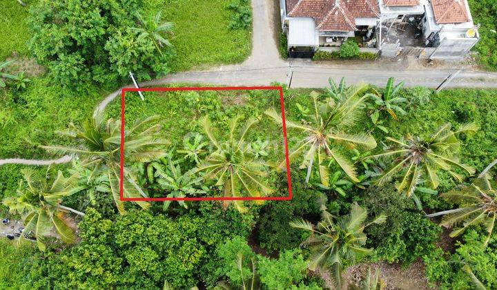 Land for sale on Silungan Road Lodtunduh Ubud 2