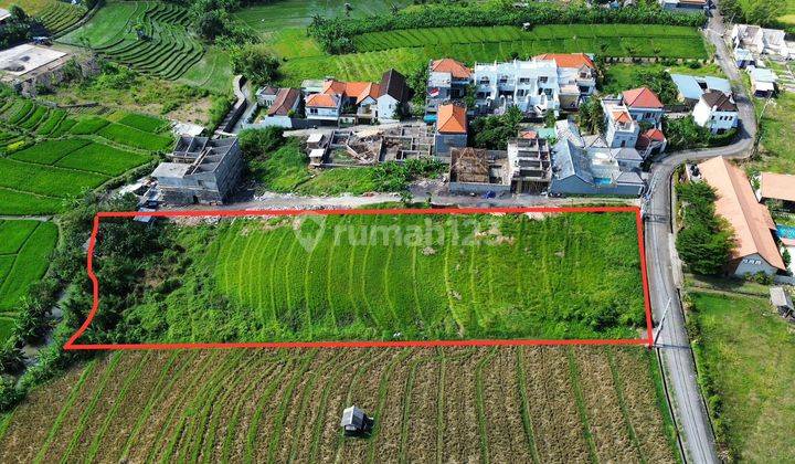 Disewakan Dikontrakkan Tanah 40 Are Berlokasi Jalan Abasan Pantai Berawa Canggu 2