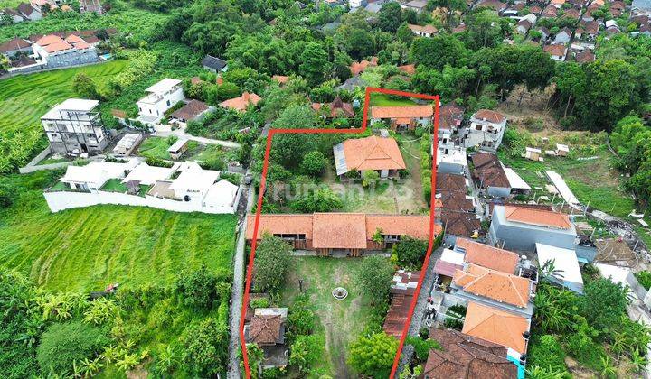 Dijual Tanah 55 Are Jalan Bantan Kangin Canggu Badung 1